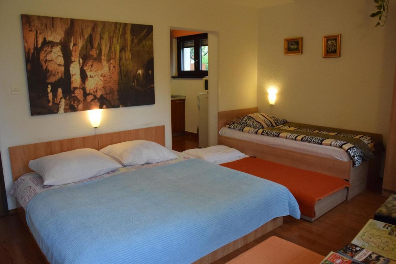 Rooms Ribnikar Postojna Ngoại thất bức ảnh
